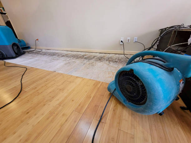 Professional Flood Damage Cleanup technician working in Green Sea, SC